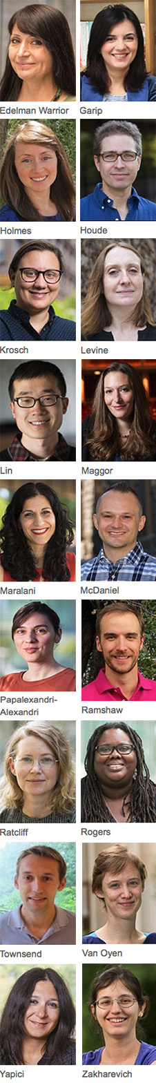 new faculty Arts and Sciences