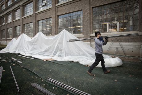 Dragon Day preparations