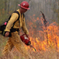 Controlled burning