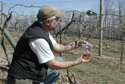Peter Jentch