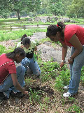 Young people from the Growing Up in New York City program