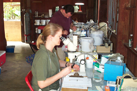 Laura Harrington and Chris Bosio