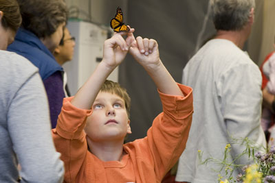 Jack Travis, 8, catches a monarch butterfly