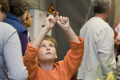 Jack Travis, 8, catches a monarch butterfly 