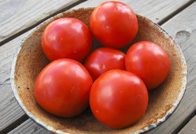 image Iron Lady tomatoes