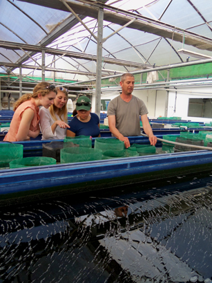 Brooke Parsons, Anika Zuber, and Nicole Huynh.