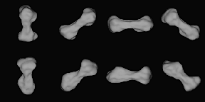 asteroid 216 Kleopatra