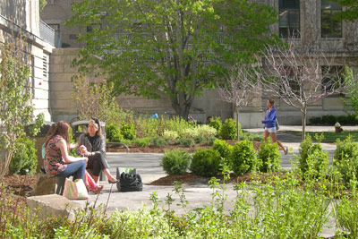 Mann Library garden