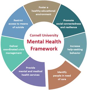 mental health framework graphic