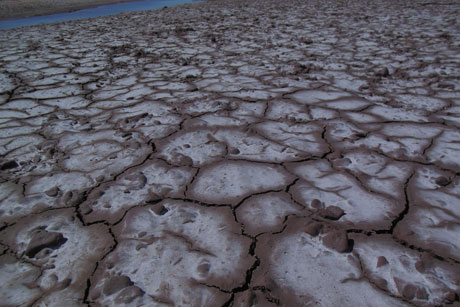 dried river basin