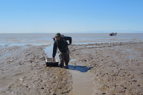 researcher sifts through mud