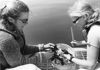 Elizabeth Stephenson of the University of Maine, left, and Robin Hadlock Seeley of Cornell