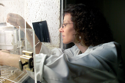 Barbara Strupp at work in the lab