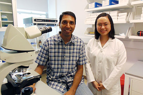 Vimal Selvaraj and Lan Tu