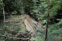 barrier waterfall in a stream in Trinidad