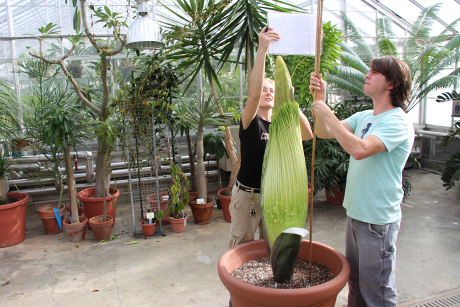 Heather Anthony and Paul Cooper