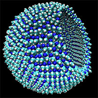 A representation of a 9-nanometer azotosome, about the size of a virus, with a piece of the membrane cut away to show the hollow interior.