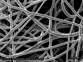 electrospun fibers
