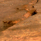 Cracks produced by earthquakes in Chile