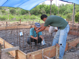 building water plant