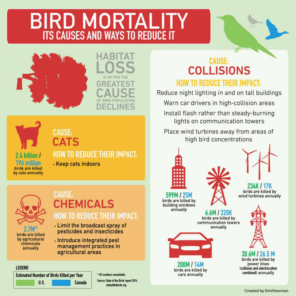 About those claims of declining bird populations due to 'climate change