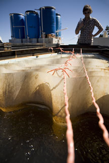 water treatment plant work