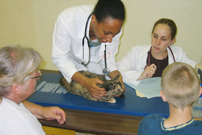 veterinary students