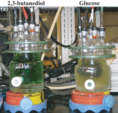 bioelectrochemical reactors