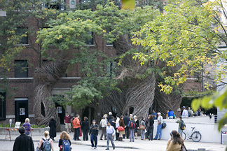 Artist Patrick Dougherty's Collegetown sculpture