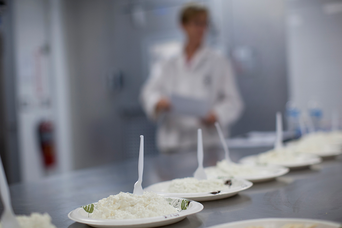 cottage cheese bowls