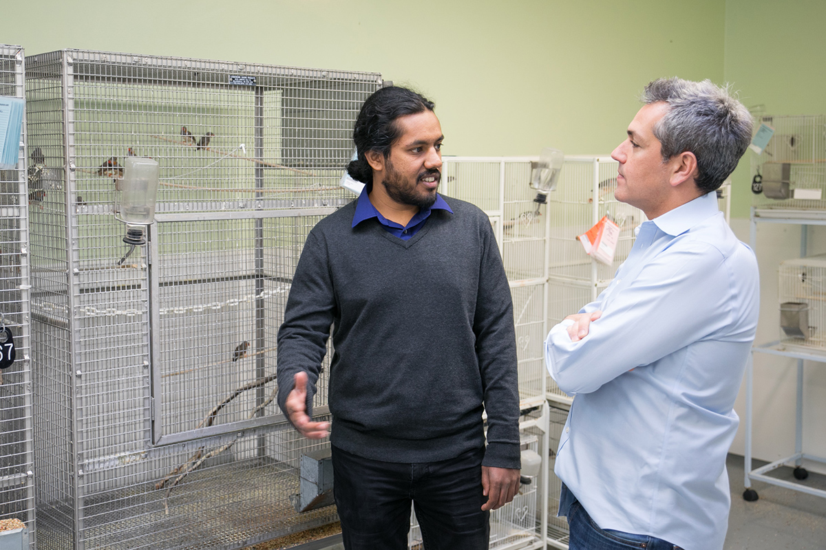 Gadagkar and Goldberg