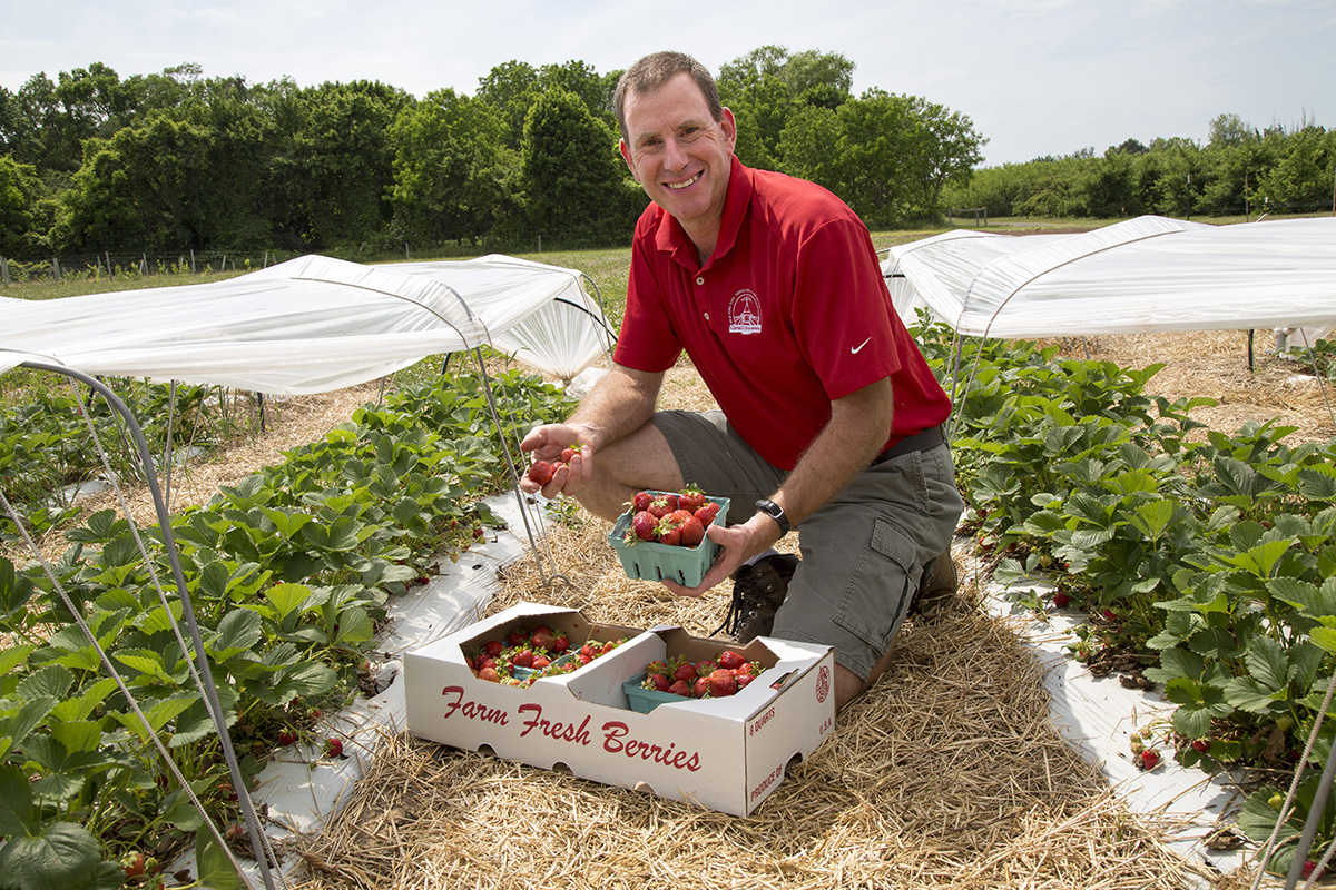 Courtney Weber with strawberries