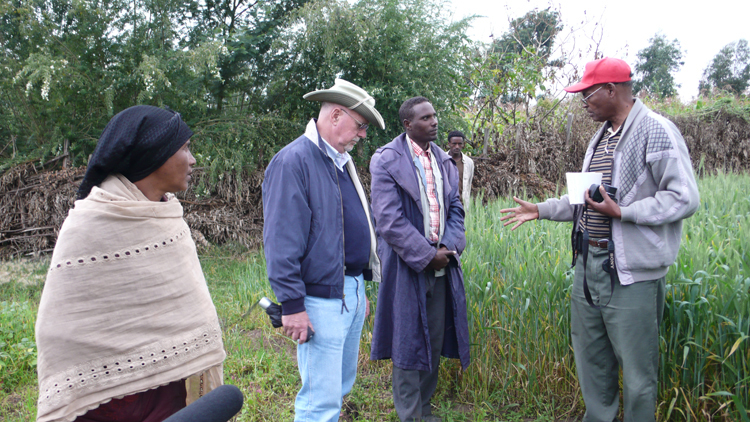 Coffman and wheat farmers