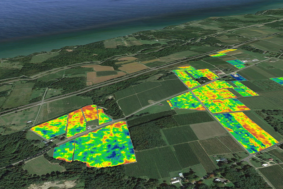 vineyards on google maps
