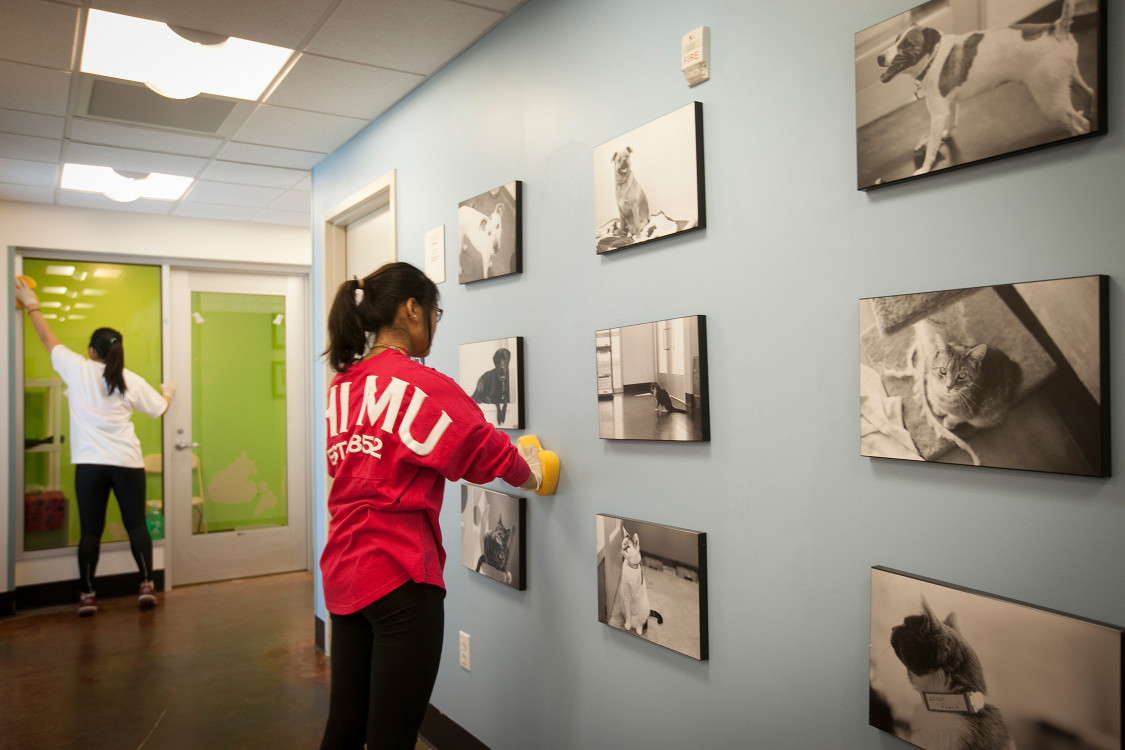 Into the Streets 2014