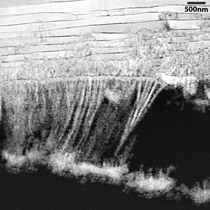 STEM microscope image