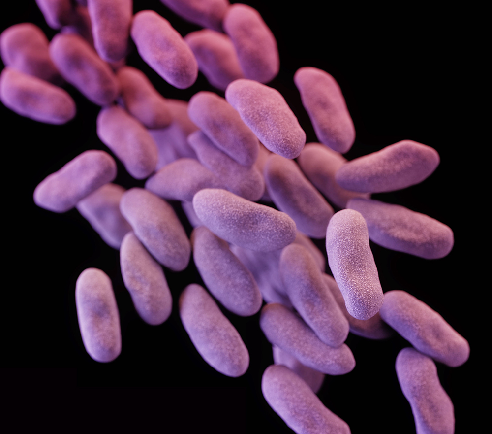 carbapenem-resistant Enterobacteriaceae