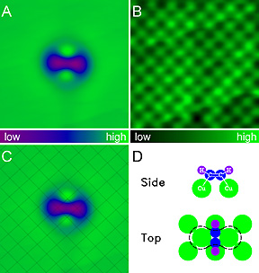Ordinary STM images of an acetylene molecule