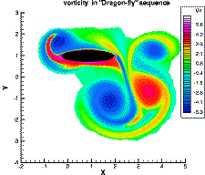 computer simulation of dragonfly wing
