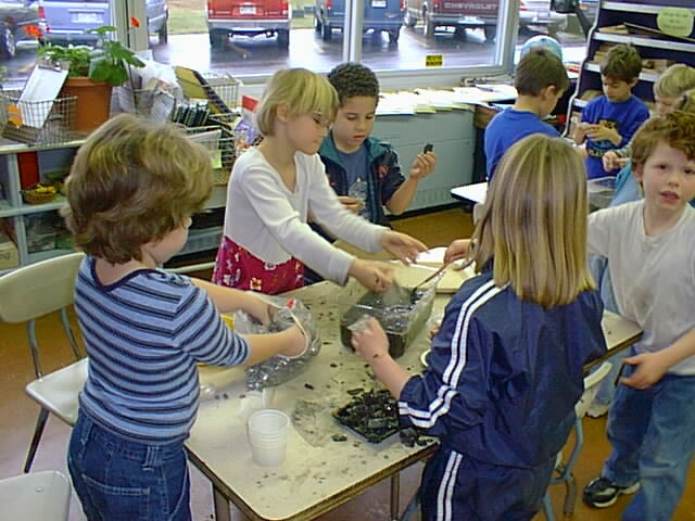 Paleontologists in training, first-grade pupils at Trumansburg
