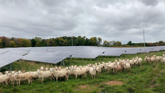 Cornell’s Sutton Road Solar Farm in Geneva, New York