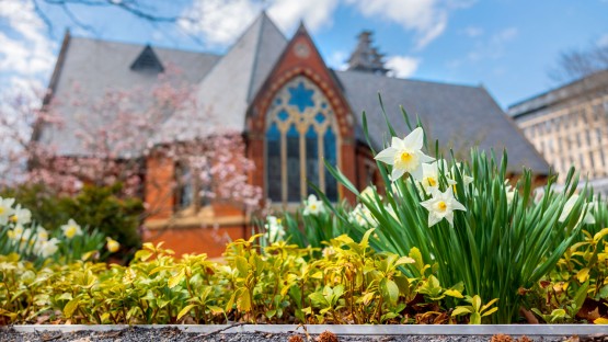 Spring blooms outside Sage Chapel.
