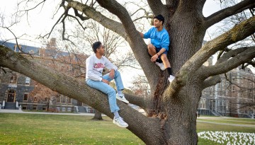 Friends hang out in a tree on the Arts Quad.