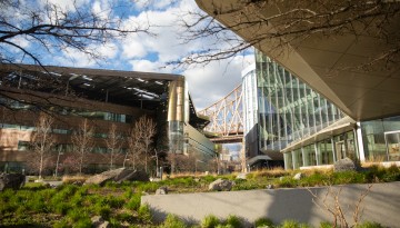 Early spring blooms on the Cornell Tech campus on Roosevelt Island in New York City.