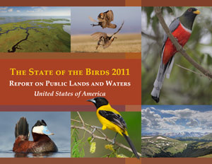 2011 State of the Birds report