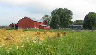 Amish farm