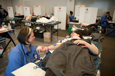 Melanie Amodea and Leni Mass