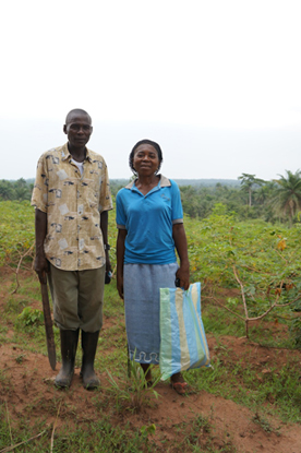 Small-holder producers of cassava in Africa.