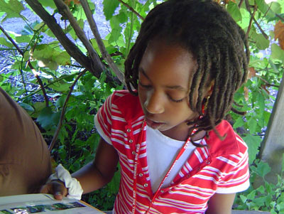 Vegetable Varieties Investigation citizen science project