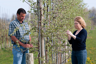 Susan Brown and Kevin Maloney in orchard